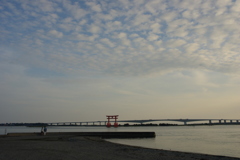 弁天島赤鳥居とカップル