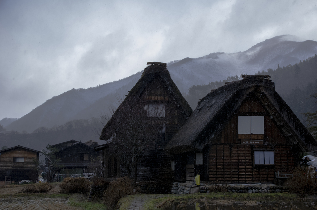 雨の白川郷