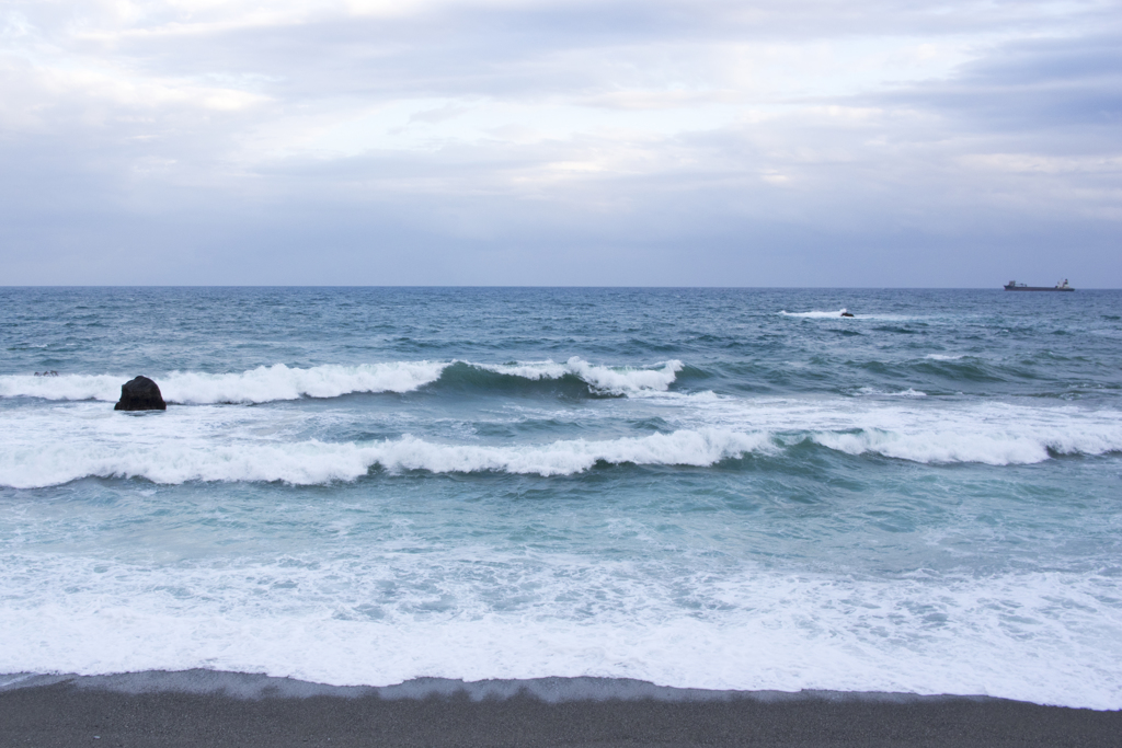 桂浜