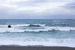 桂浜