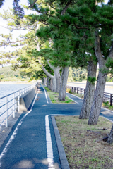 浜名湖レークサイドウェイ