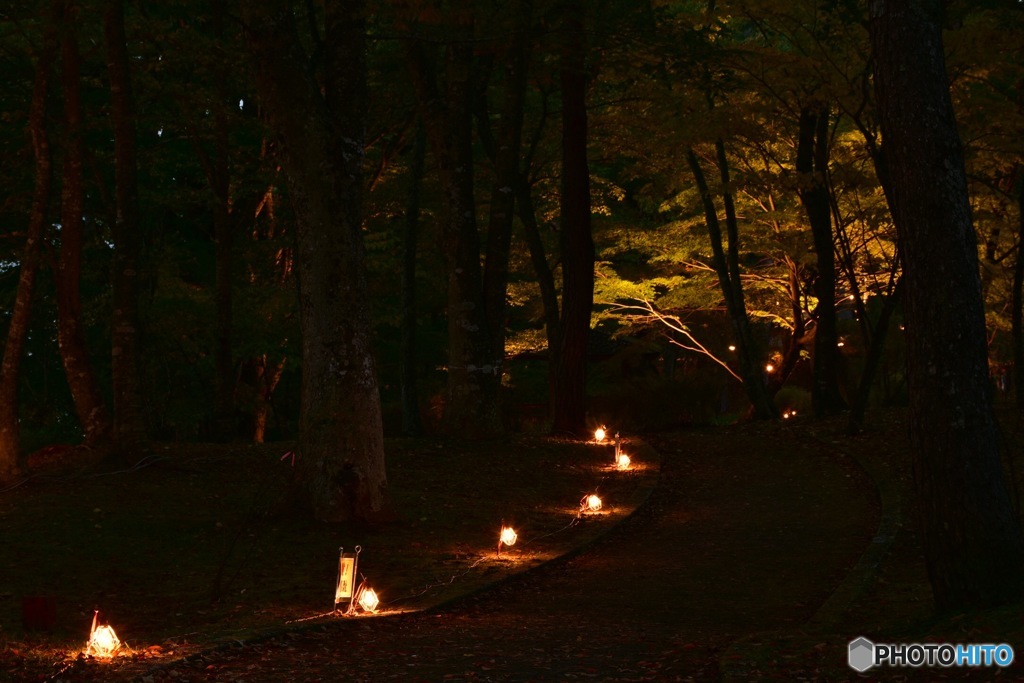 山中湖 紅葉祭