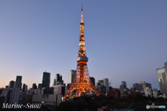 TOKYO TOWER