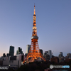 TOKYO TOWER