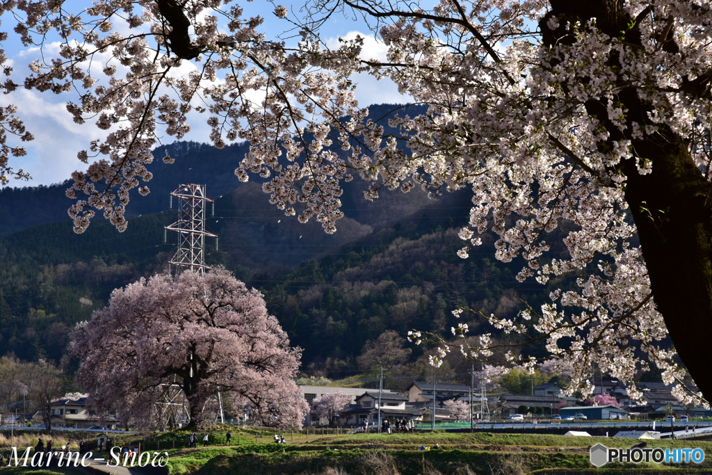 また来年