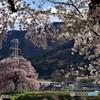 また来年