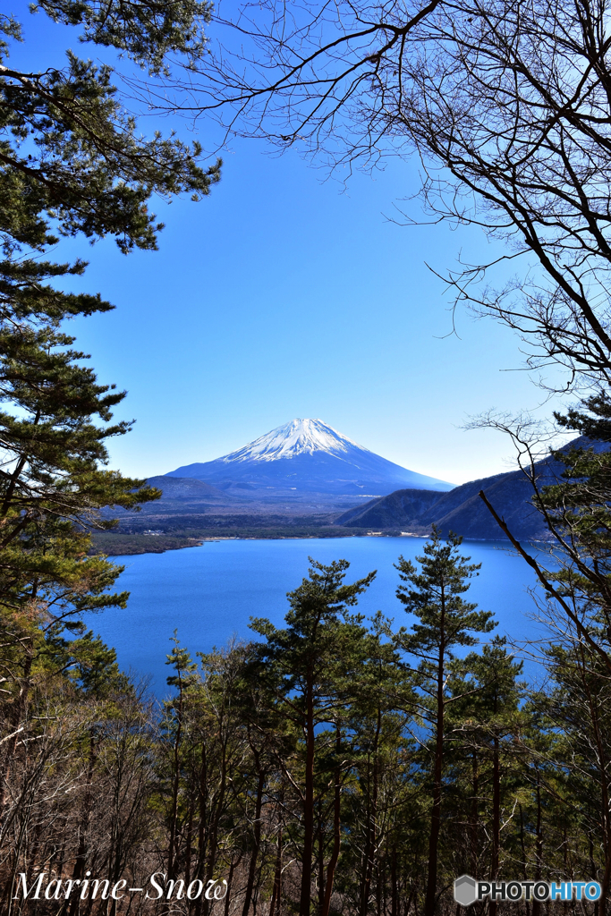 富士山