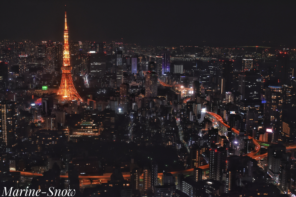 東京シティビュー