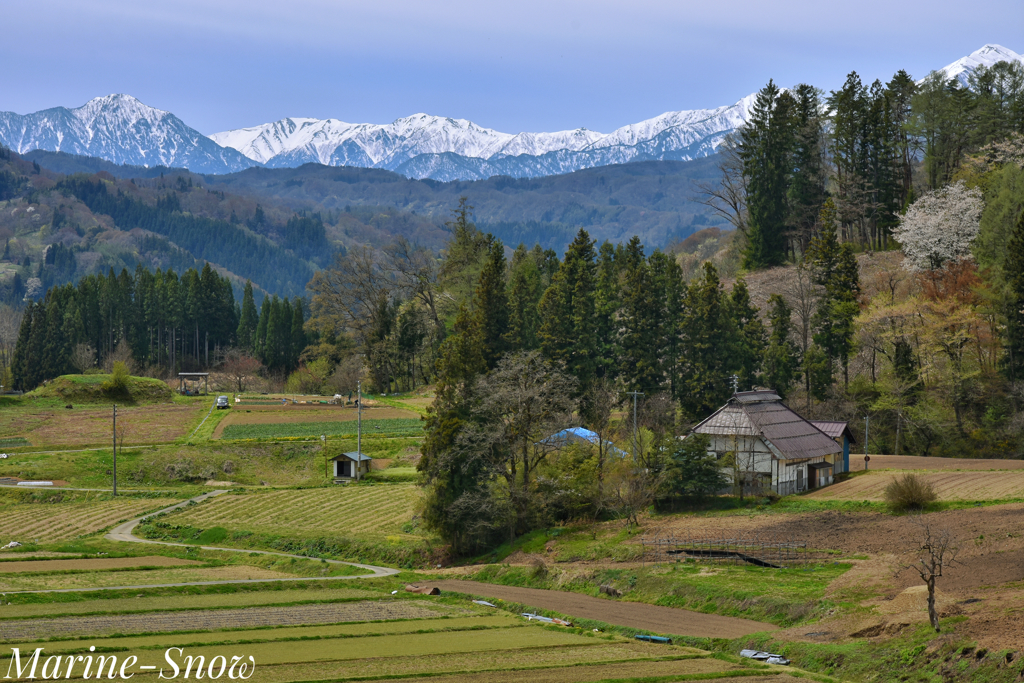 日本で最も美しい村〜小川村①