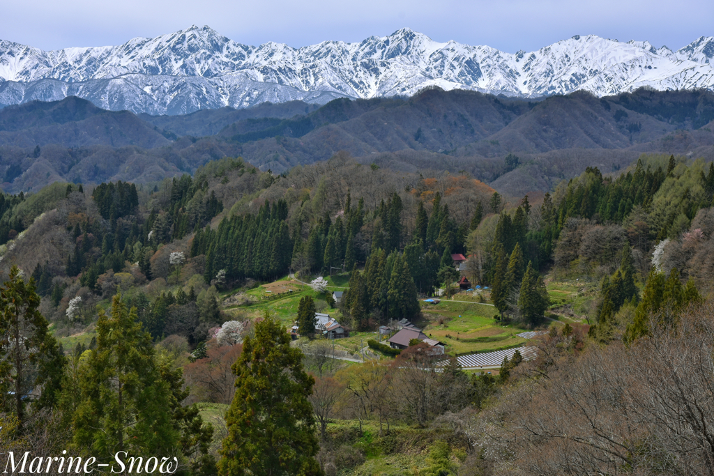 日本で最も美しい村〜小川村③