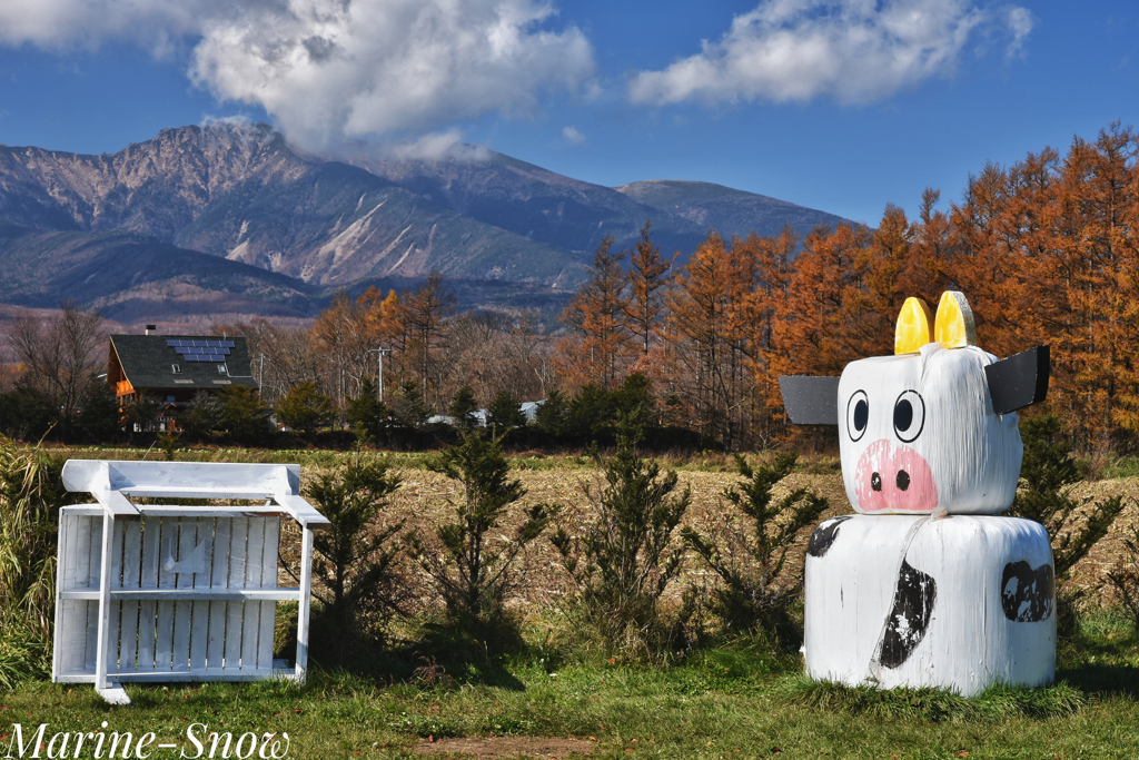 また春に会いましょう