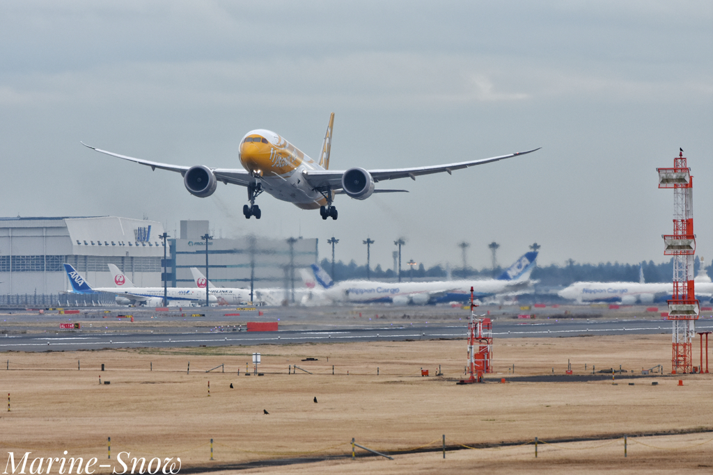 初めての成田空港