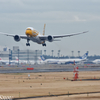 初めての成田空港