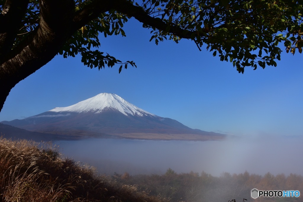 山中湖パノラマ台