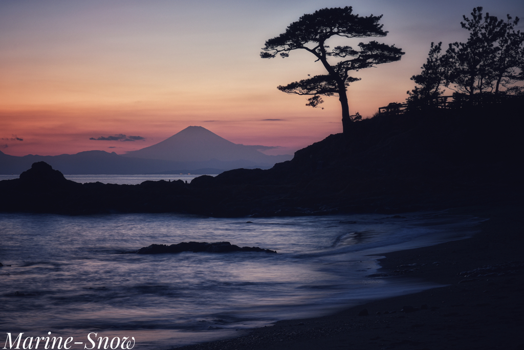 夕景