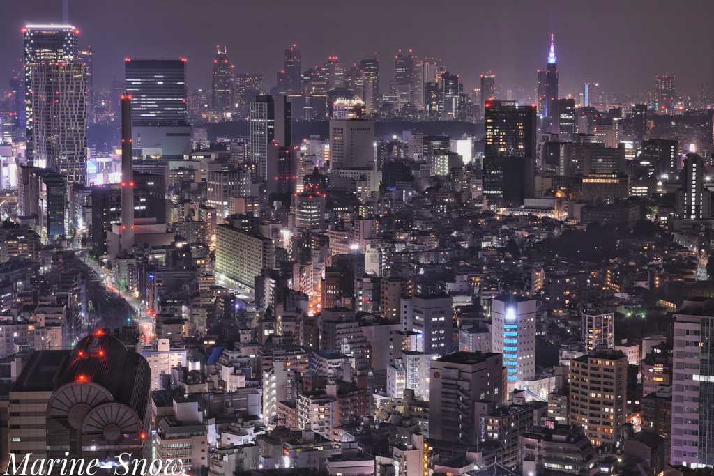 Brilliant city