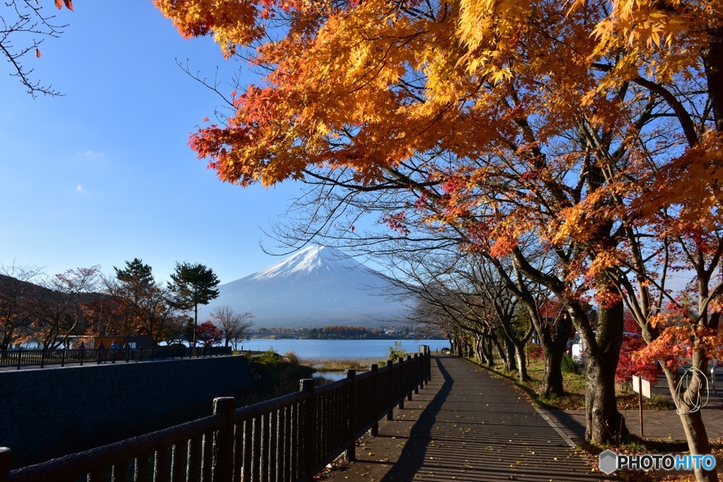 河口湖