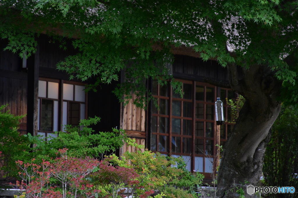 西湖いやしの里根場