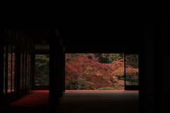 京都の紅葉定番スポット