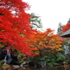 autumnal tints