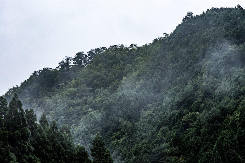 田舎の風景：神河町③