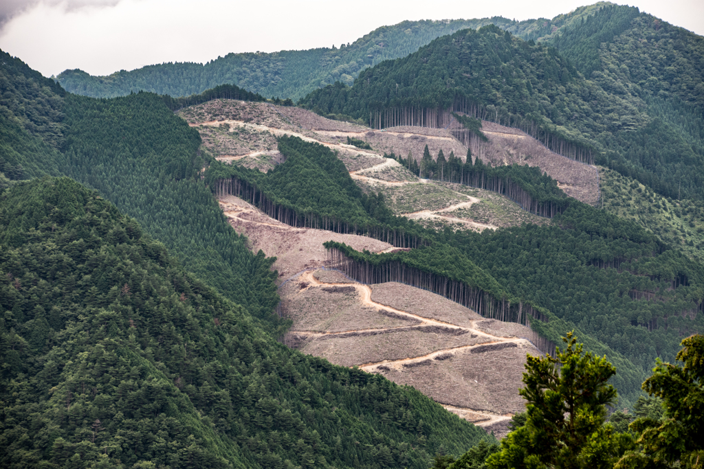 田舎の風景：神河町①