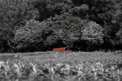 鶴見緑地公園⑧