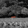 鶴見緑地公園⑧