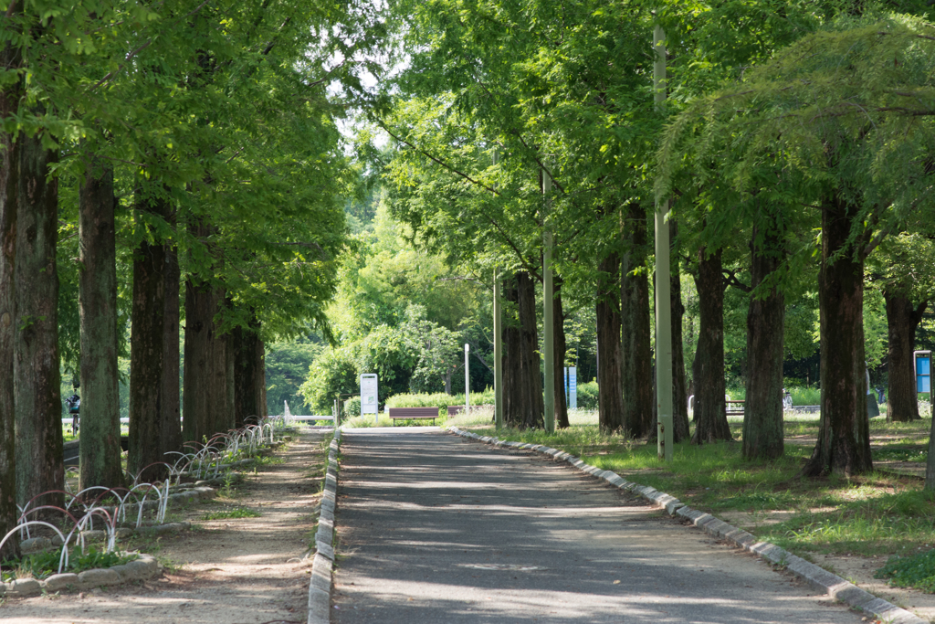 鶴見緑地公園⑦