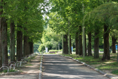 鶴見緑地公園⑦