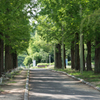 鶴見緑地公園⑦