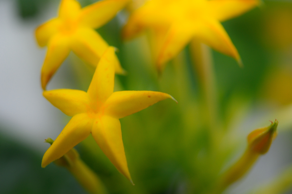 ☆