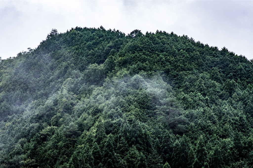 田舎の風景：神河町②