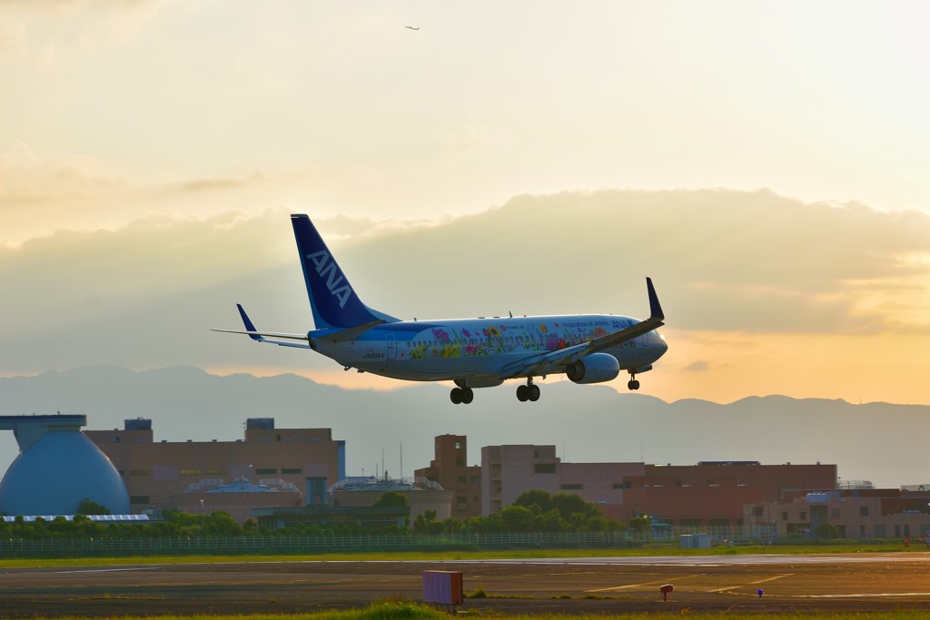 FLOWER JET②