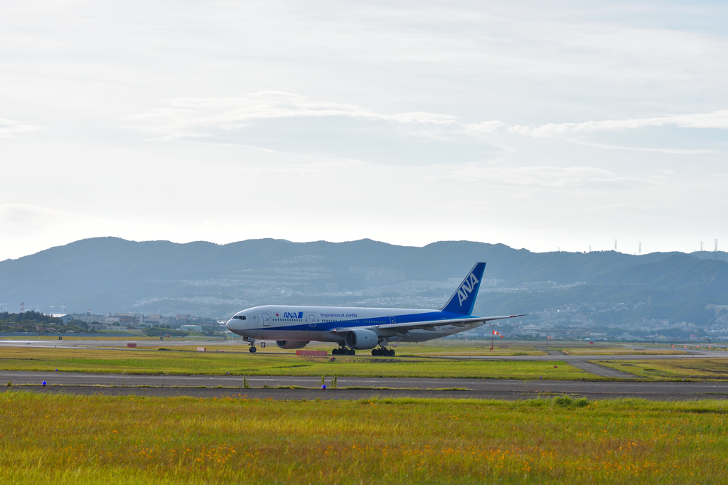AF-S NIKKOR 85mm f/1.8G⑦