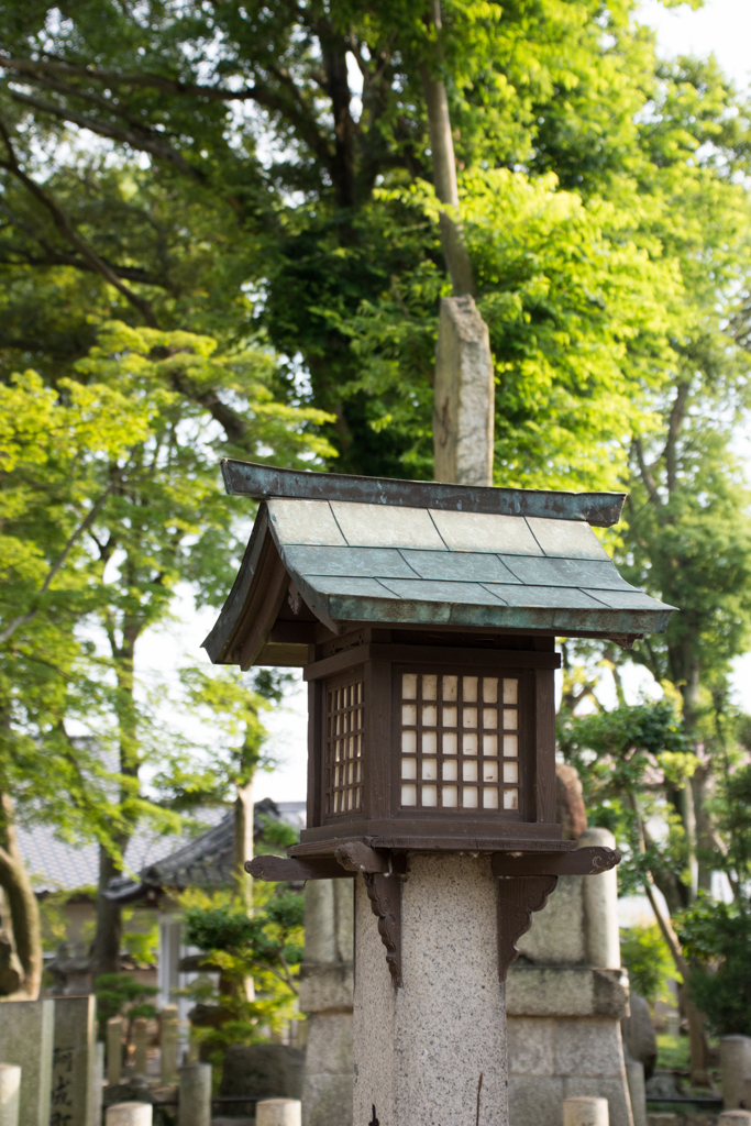 神社フォト③