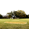近所の公園
