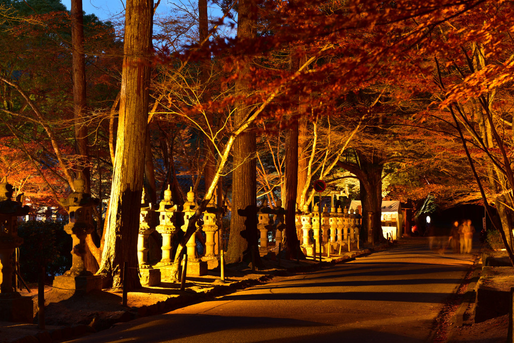 佛通寺　タイトアップ