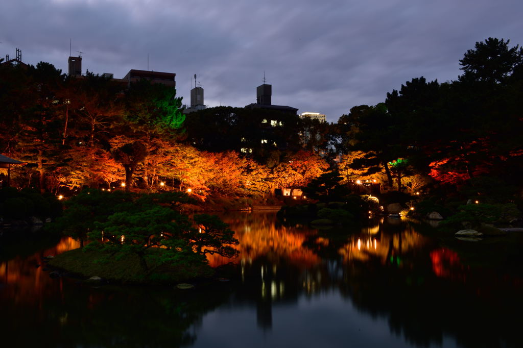 縮景園紅葉ライトアップ1