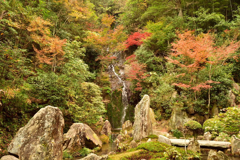 三滝寺紅葉5