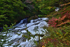 竜頭の滝③