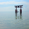 琵琶湖 白鬚神社