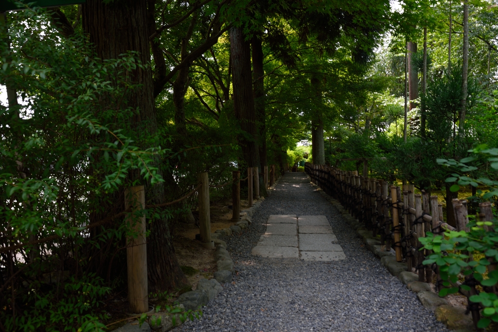 龍安寺 石庭