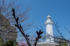 梅は咲いたか 桜はまだかいな