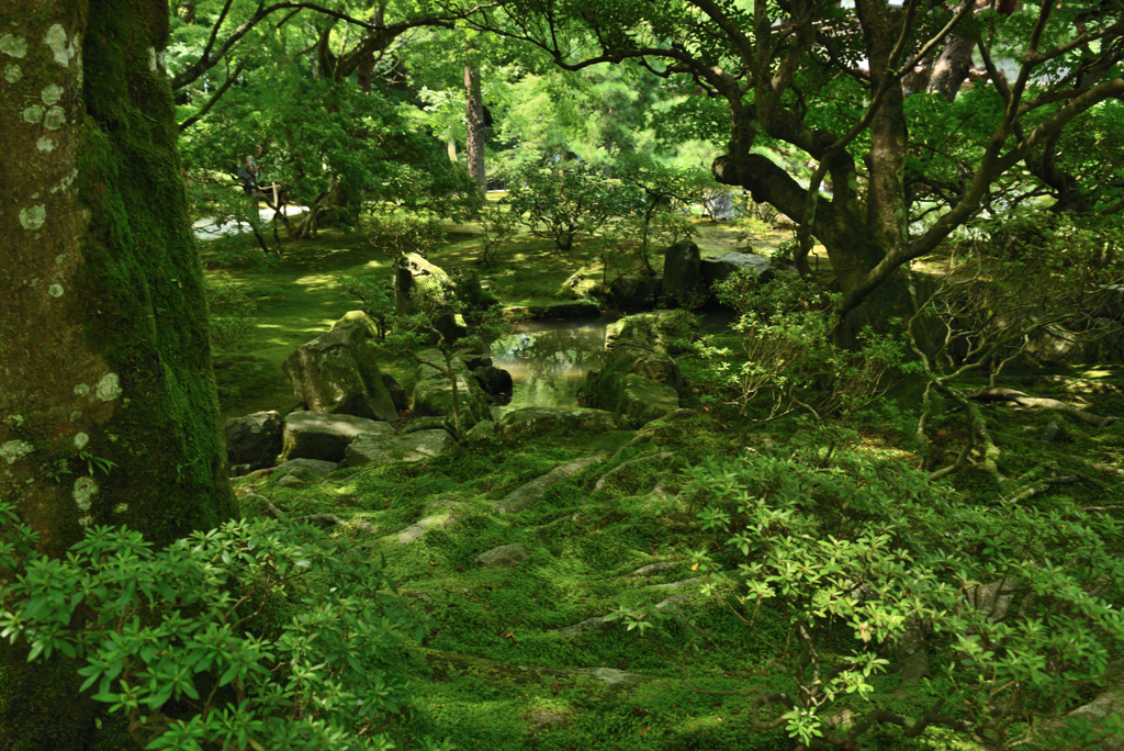 銀閣寺