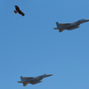 制空権の争い ～EAGLE vs HAWK～