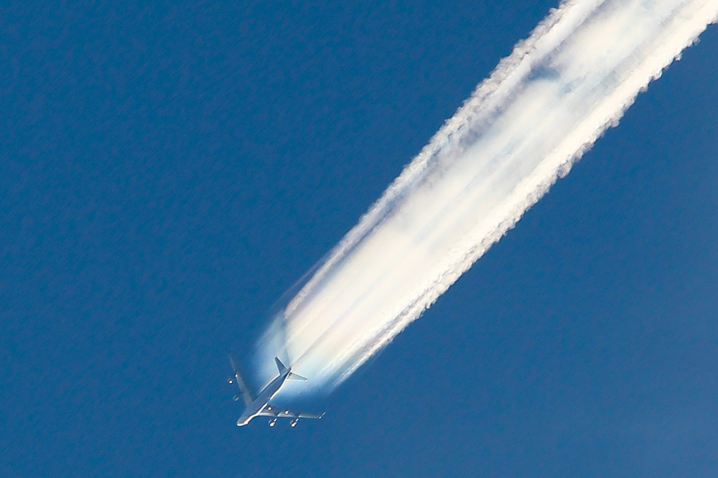 なんとなく撮ってみたJAL機