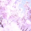 触れるのはだれ