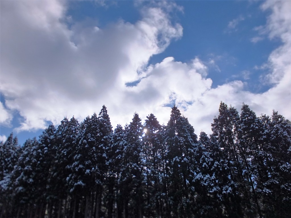 雪のない年もある