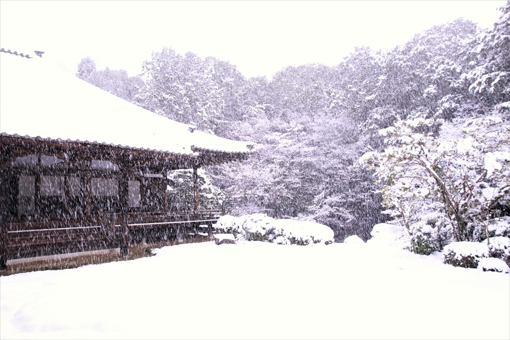 心の灯を